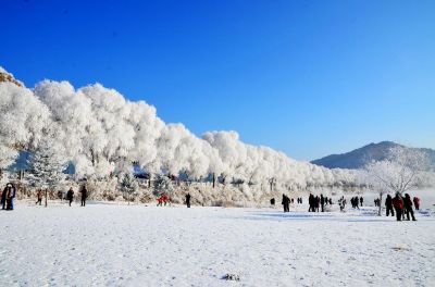 吉林雾凇、万科滑雪、长白山、中国雪乡、亚布力、哈尔滨、神秘冬捕双飞六日游