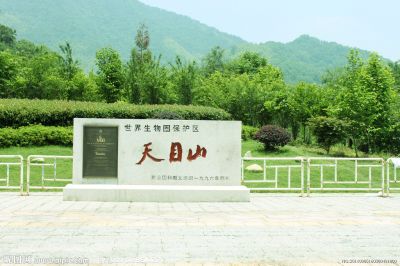 临安 东天目山 清新洗肺一日